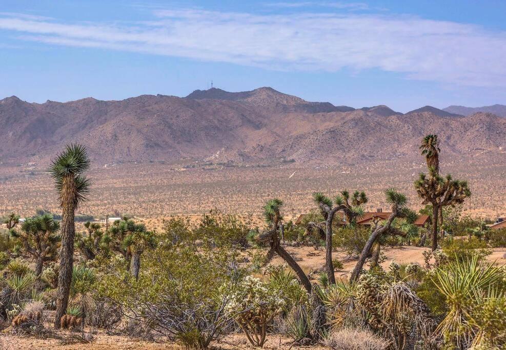 Jt Cottage Yucca Valley Exterior photo