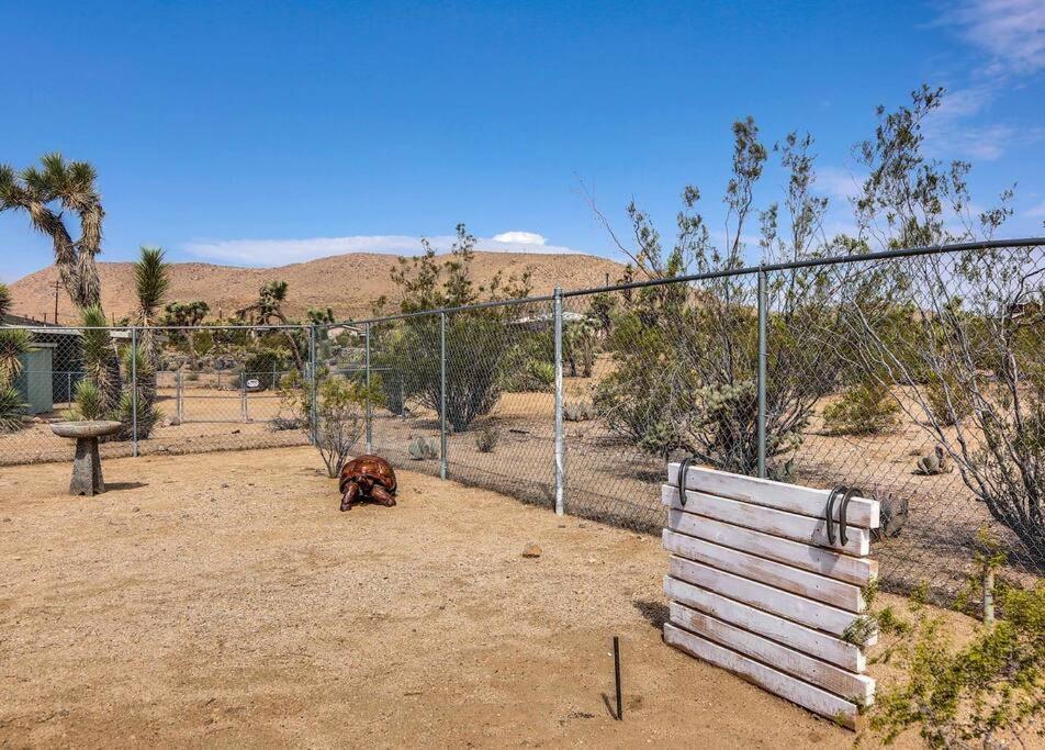 Jt Cottage Yucca Valley Exterior photo